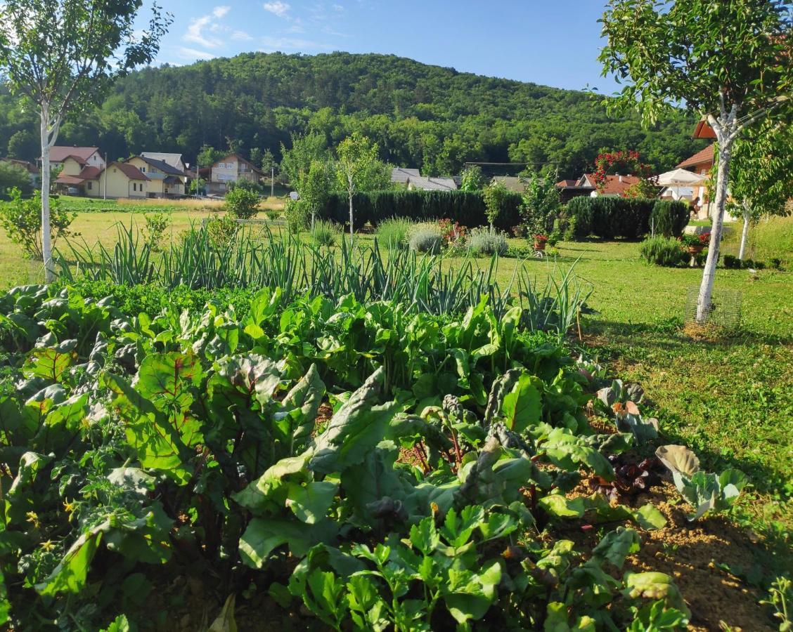Apartman Urban Nature Otočac Zewnętrze zdjęcie